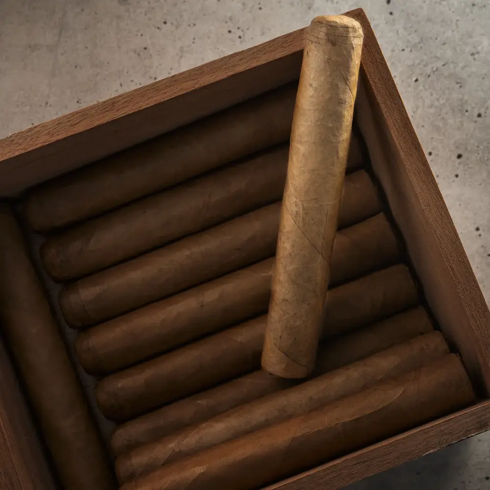Gallo Pinto Conn by Rojas Cigars