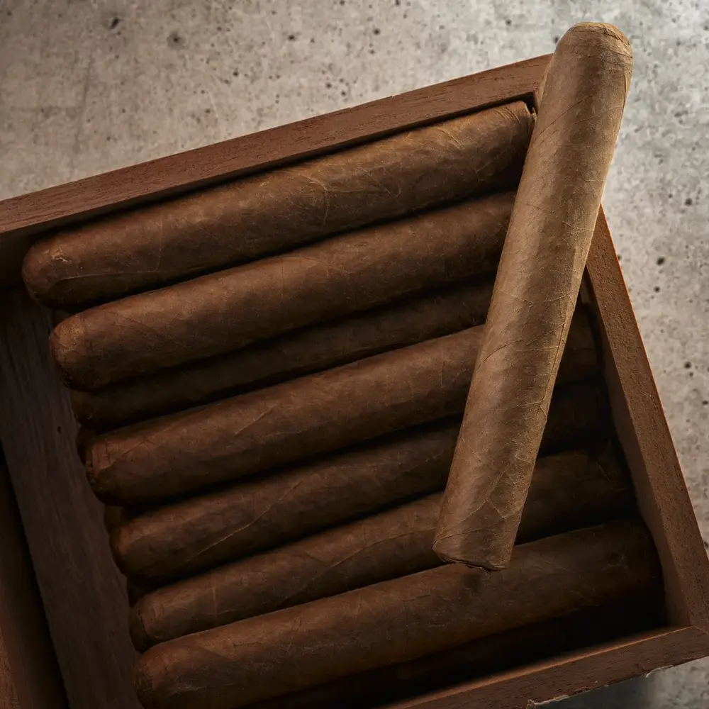 Gallo Pinto Habano by Rojas Cigars